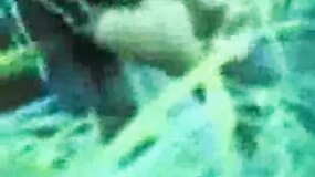 Classic Porn: Mexican kids caught fucking in the woods