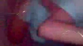 Girls show each other their pussies