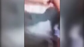 A classic pussy-fucking session between lesbian bitches
